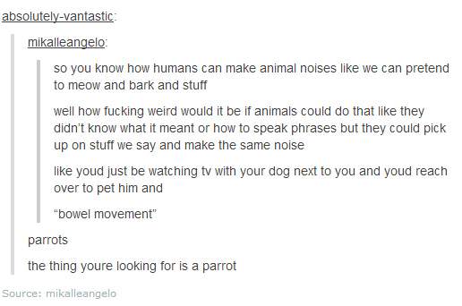 You mean a parrot?
