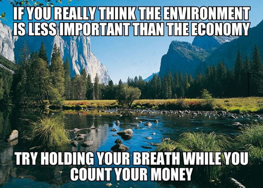 The environment vs. the economy…