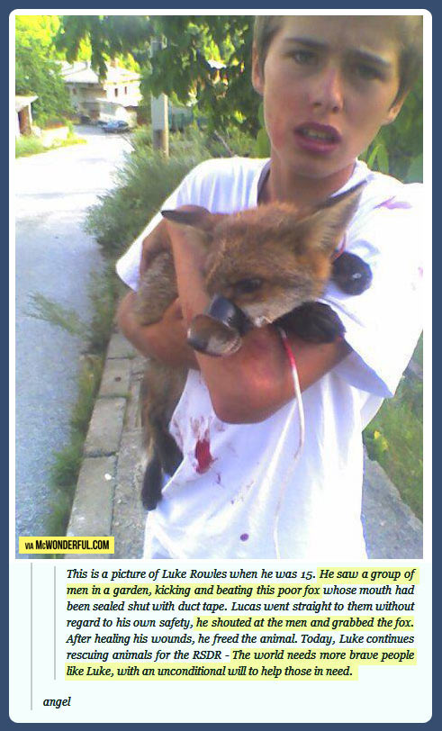 The kid who saved a fox…