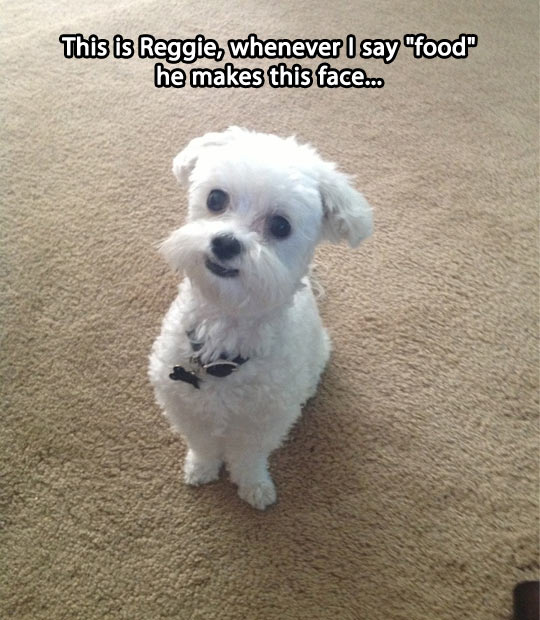Whenever I say food…