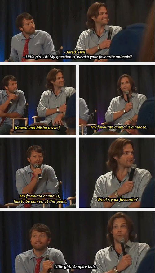 funny-Jared-Padalecki-Supernatural-favourite-animal-girl-bat