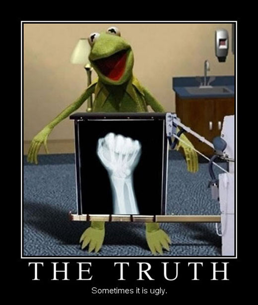 Kermit’s x-ray…