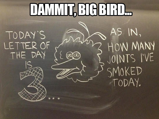 Damn it, Big Bird…