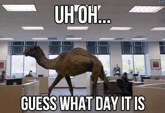 Guess what day it is…