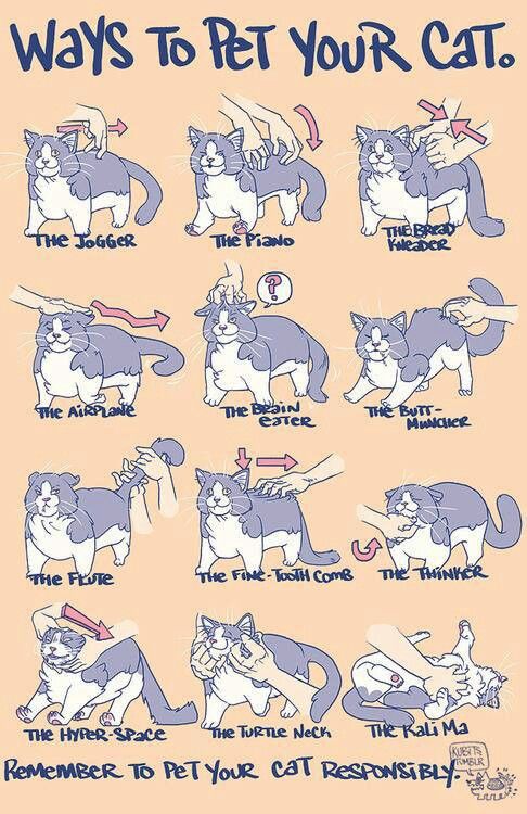 Ways to pet your cat…