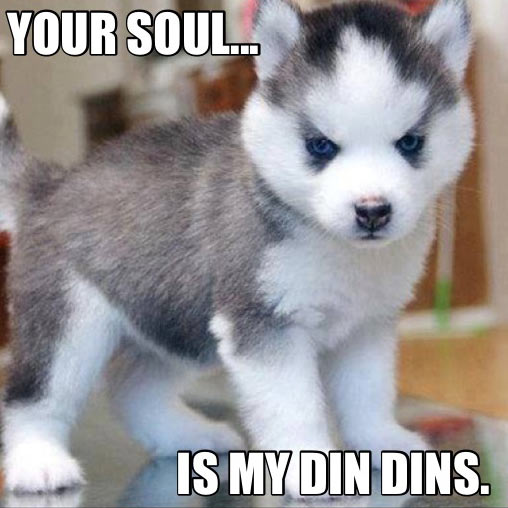 Satan puppy is hungry…