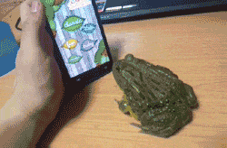 Never try to trick a frog...