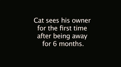 Cat and owner reunited after 6 months…