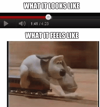 When a video plays and buffers at the same speed…