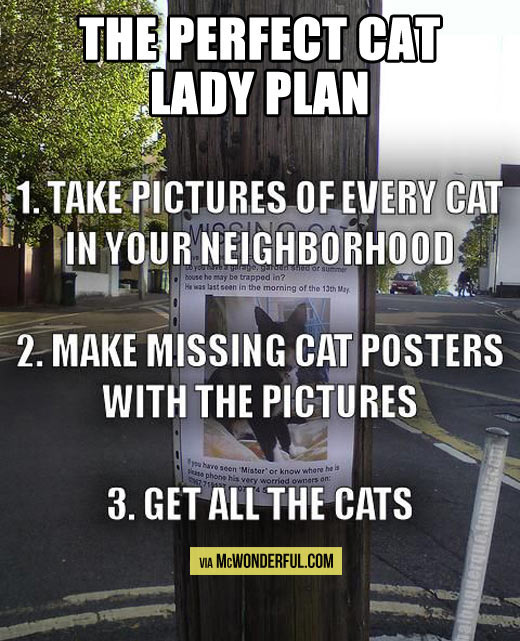 funny-missing-cat-poster