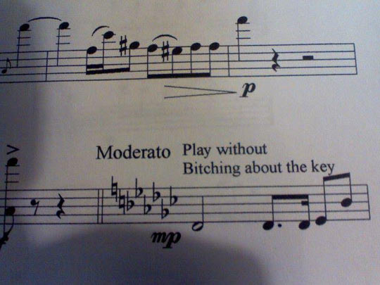 funny-music-sheet-Moderato
