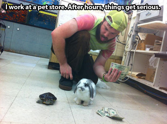 Pet store after hours…