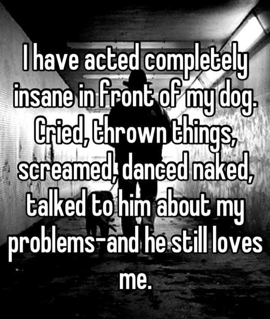 funny-quote-dog-love-insane-owner