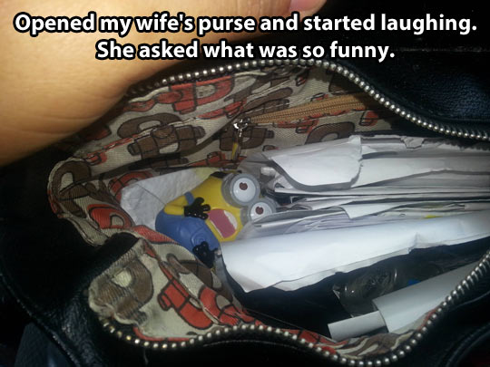 Despicable purse…