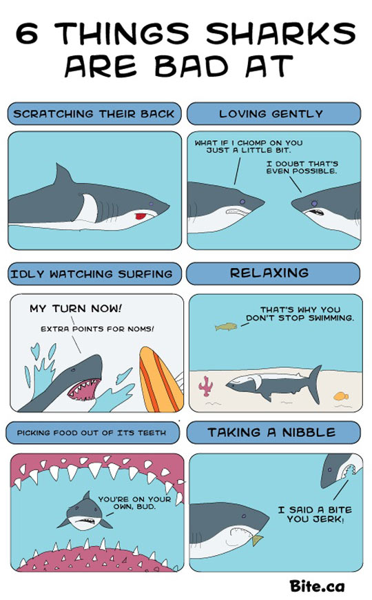 Things sharks are bad at…