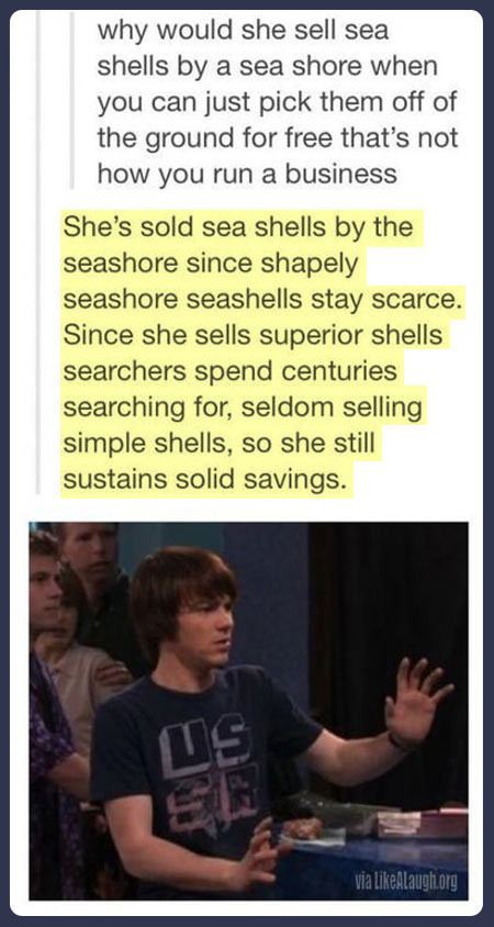 funny-shell-sea-seashore