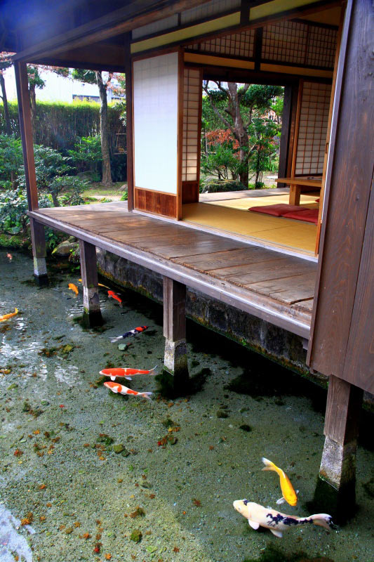 cool-water-clean-fish-house