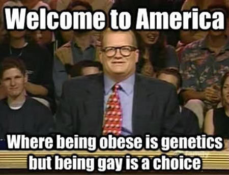 funny-America-genetics-obese-gay-choice