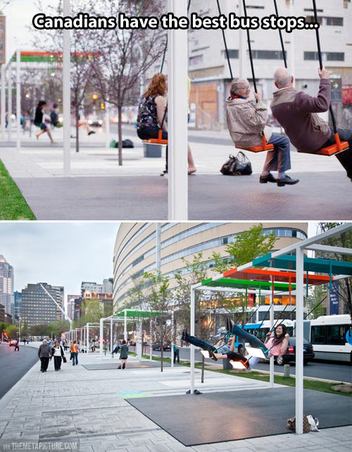 funny-Canadian-bus-stop-swings