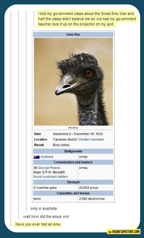 The Emu War…