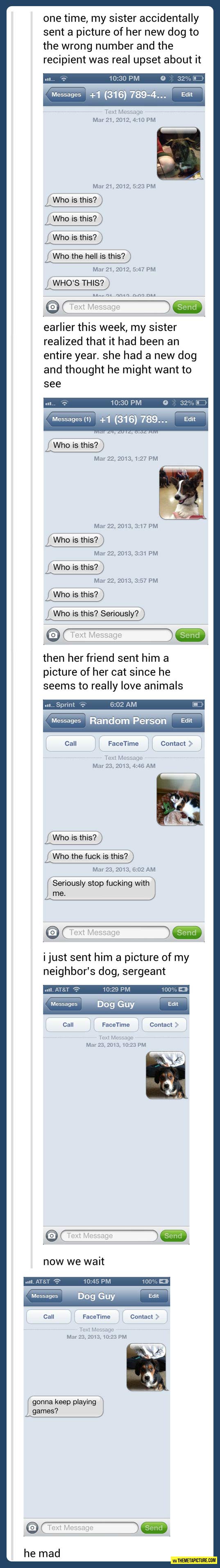 funny-Tumblr-wrong-number-dog