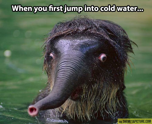 Jumping into cold water…