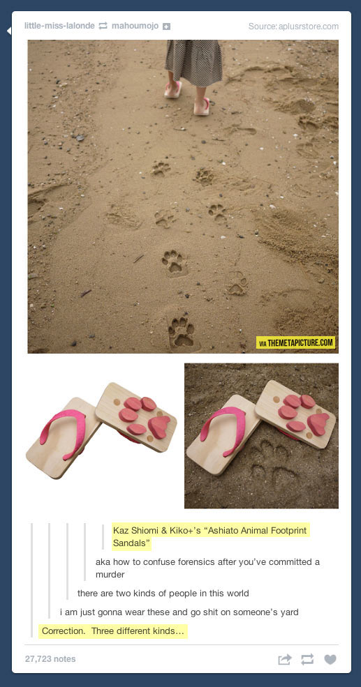 funny-animal-footprint-sandals-beach