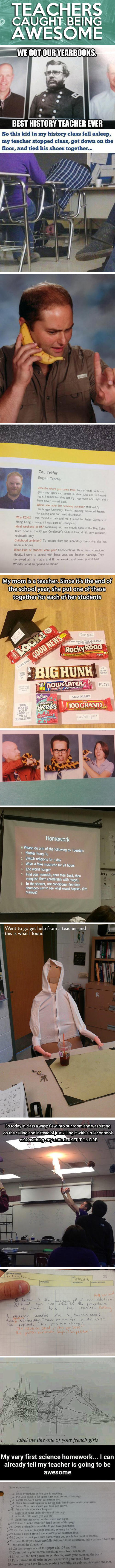 Teachers caught being awesome...