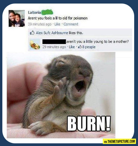 funny-burn-comment-Pokemon-play