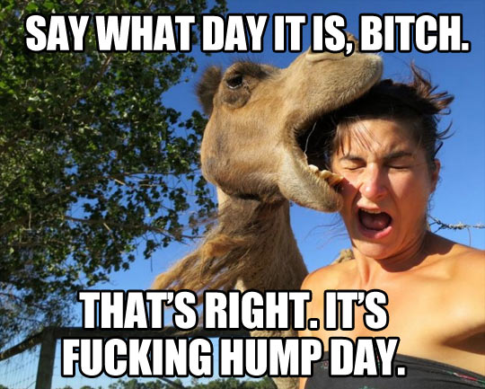 Say what day it is…