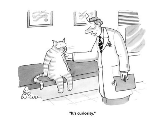 A cat goes to the doctor…