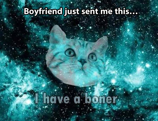 funny-cat-galaxy-space