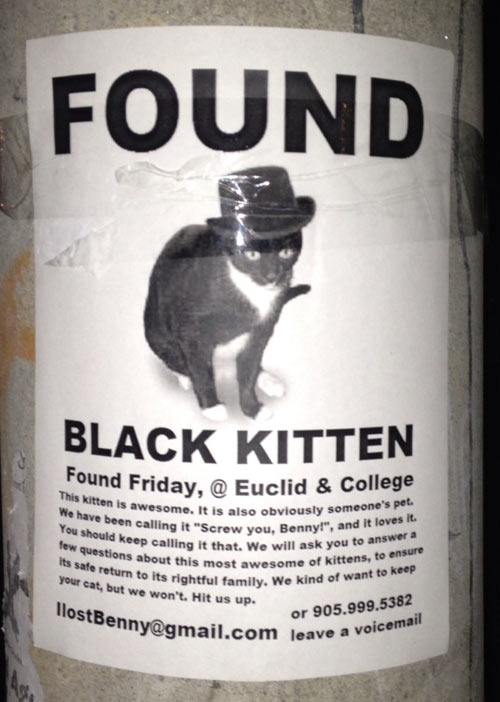 Black kitten found…