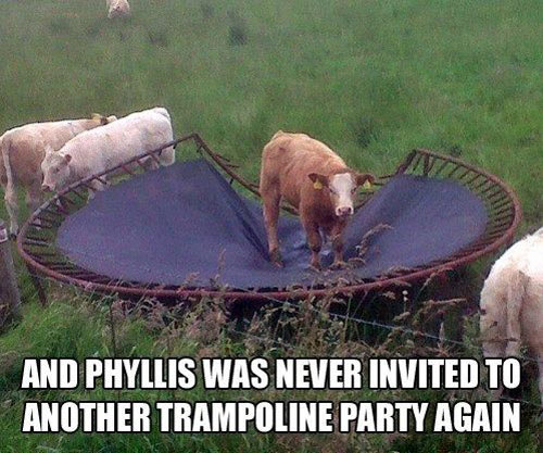 Poor Phyllis…