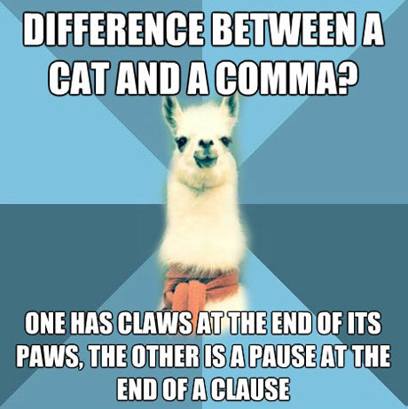 The difference between a cat and a comma…