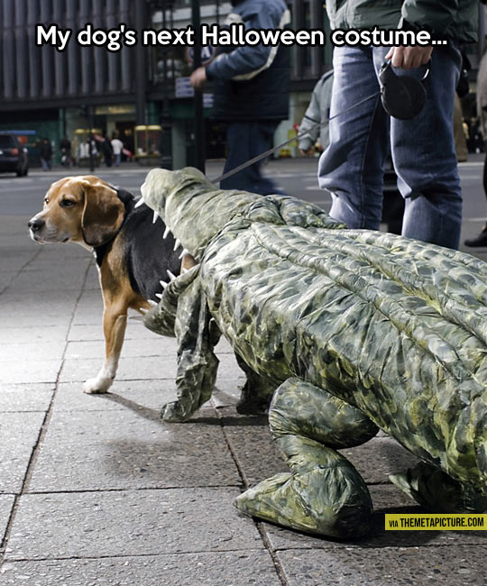 funny-dog-costume-crocodile