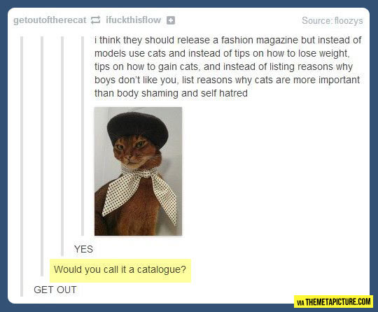 A fashion magazine with cats…