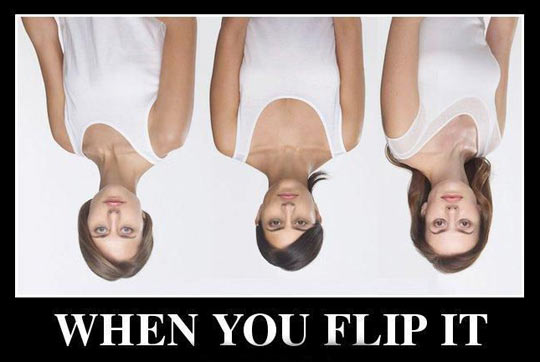 Oh please don't flip it…