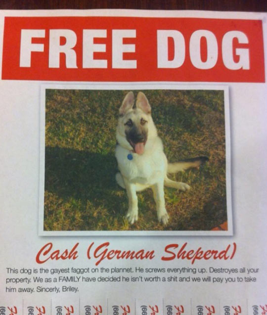 funny-free-dog-sign-pay-destroy