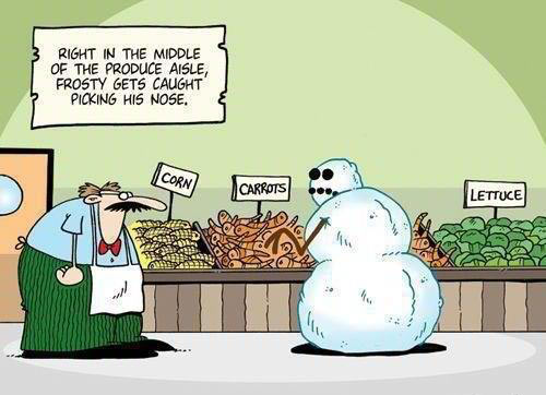 funny-frosty-nose-carrot-store