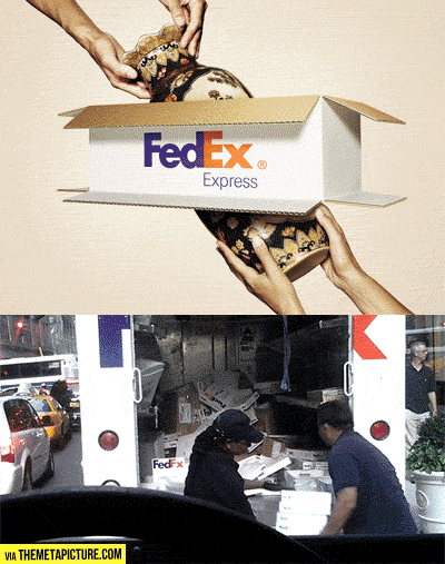 FedEx in a nutshell…