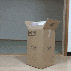 funny-gif-cat-box-shape