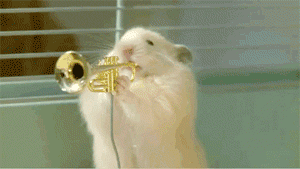Hamster Jazz Band...
