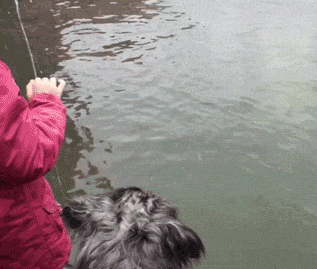 funny-gif-polar-bear-girl-jumping