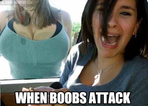 funny-girl-screaming-car-attack-window