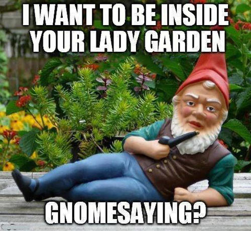 funny-gnome-pick-up-line