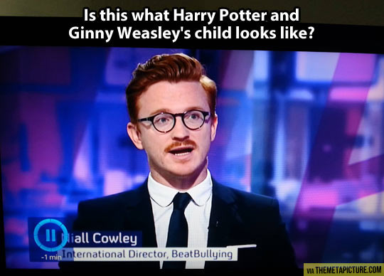 Harry Potter’s illegitimate son…