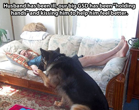 Further proof that dogs are the best…