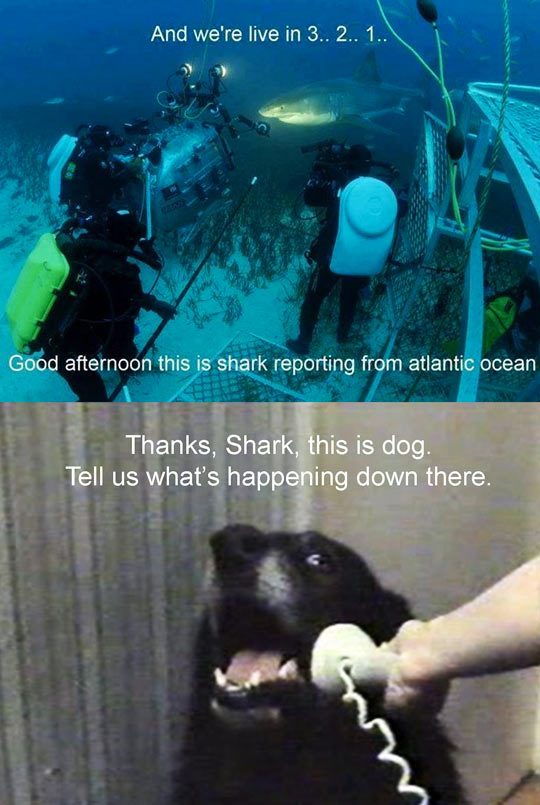 Underwater report…