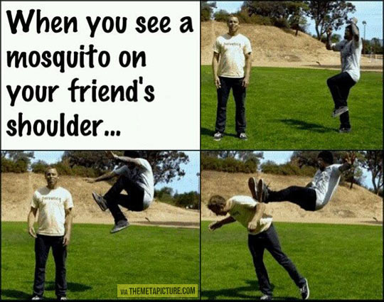 funny-kick-friend-mosquito